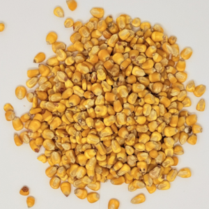 PREMIUM APPLE SCENT YC