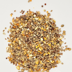 GOLDEN ROOSTER CONDITIONER