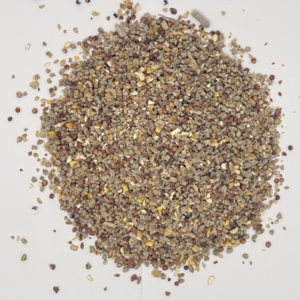 GOLDEN POLLITO MEDICATED